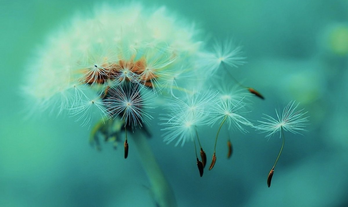 Фон в голубых тонах