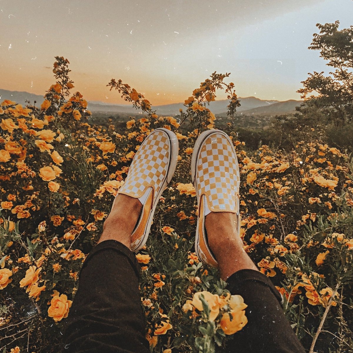 Эстетичные изображения