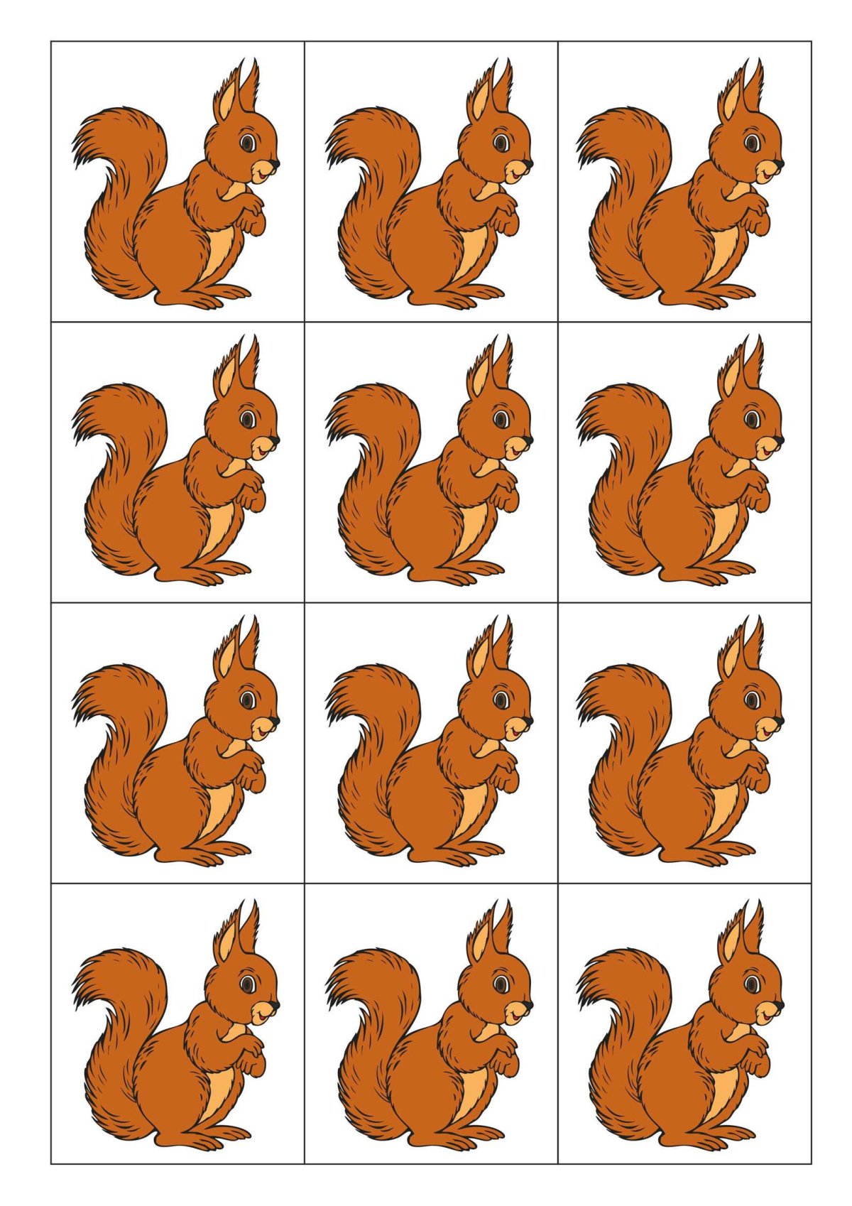 Белка на белом фоне для детей