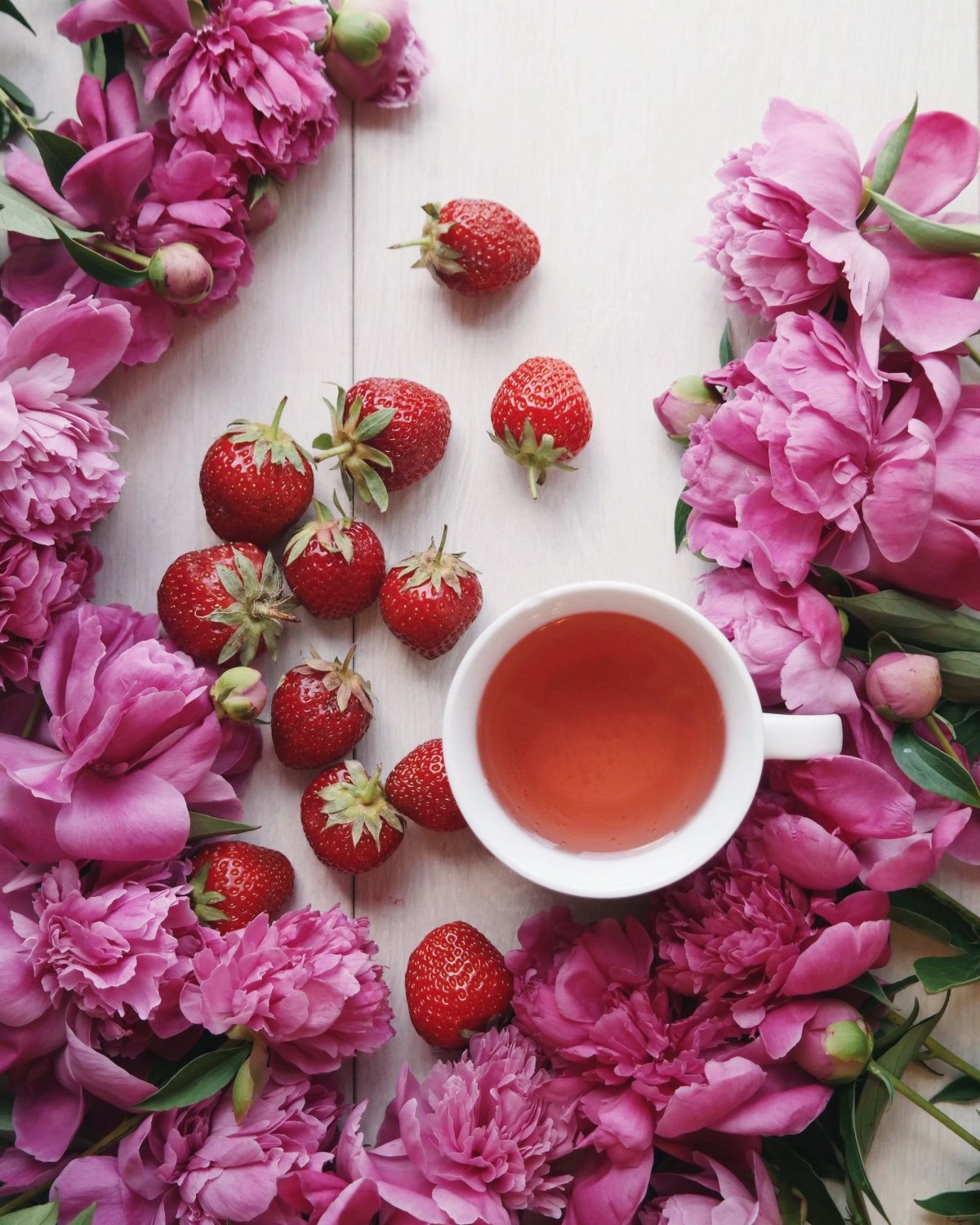 Кофе цветы Минимализм