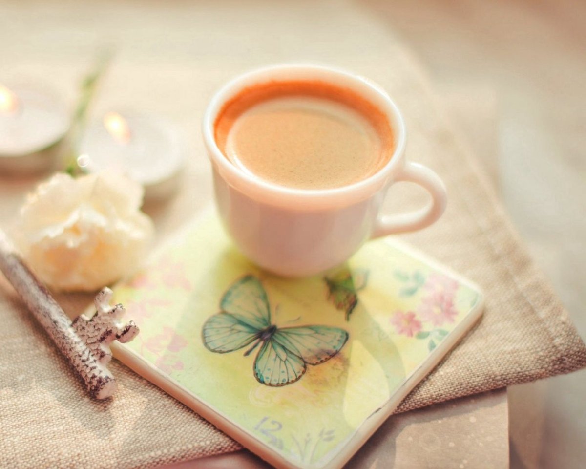 Утренняя нежность