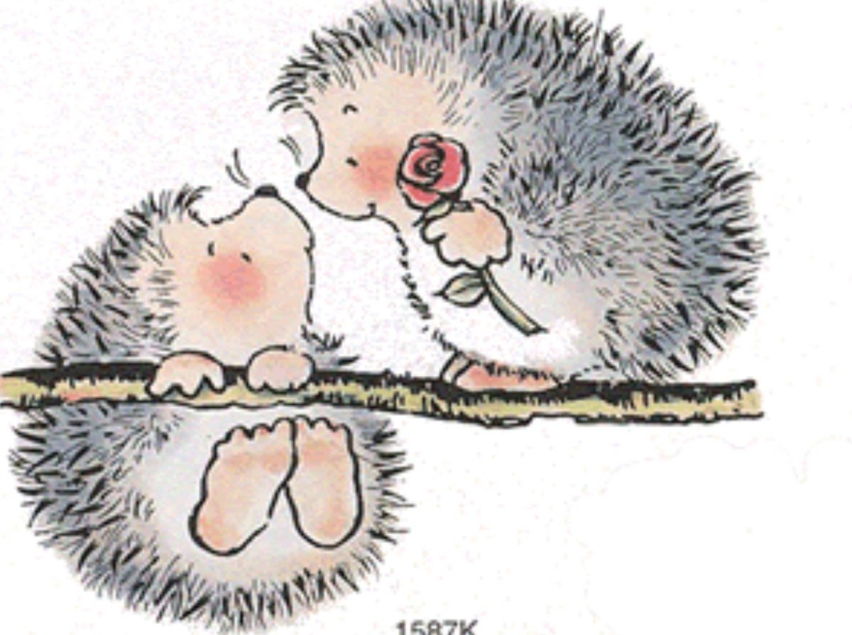 С днем рождения Ежик