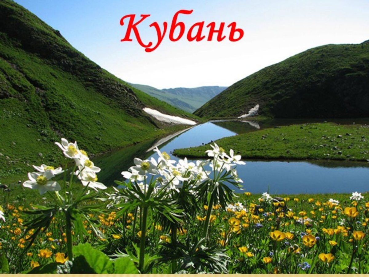 85 Лет Краснодарскому краю логотип