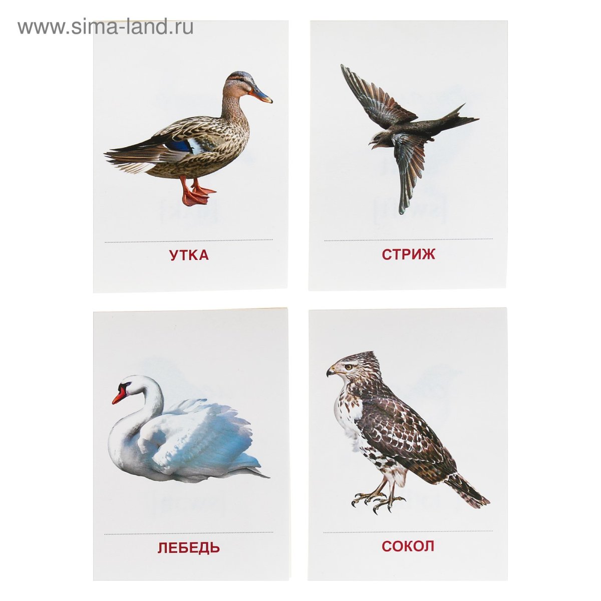 Перелетные птицы карточки