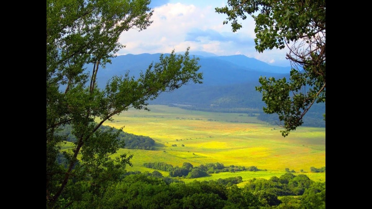 Кубань горы и поля с подсолнухами