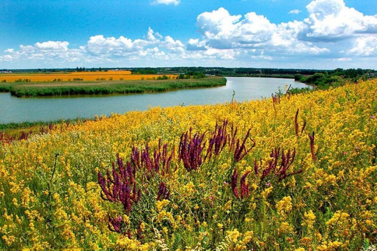 Краснодарский край Прикубанская низменность