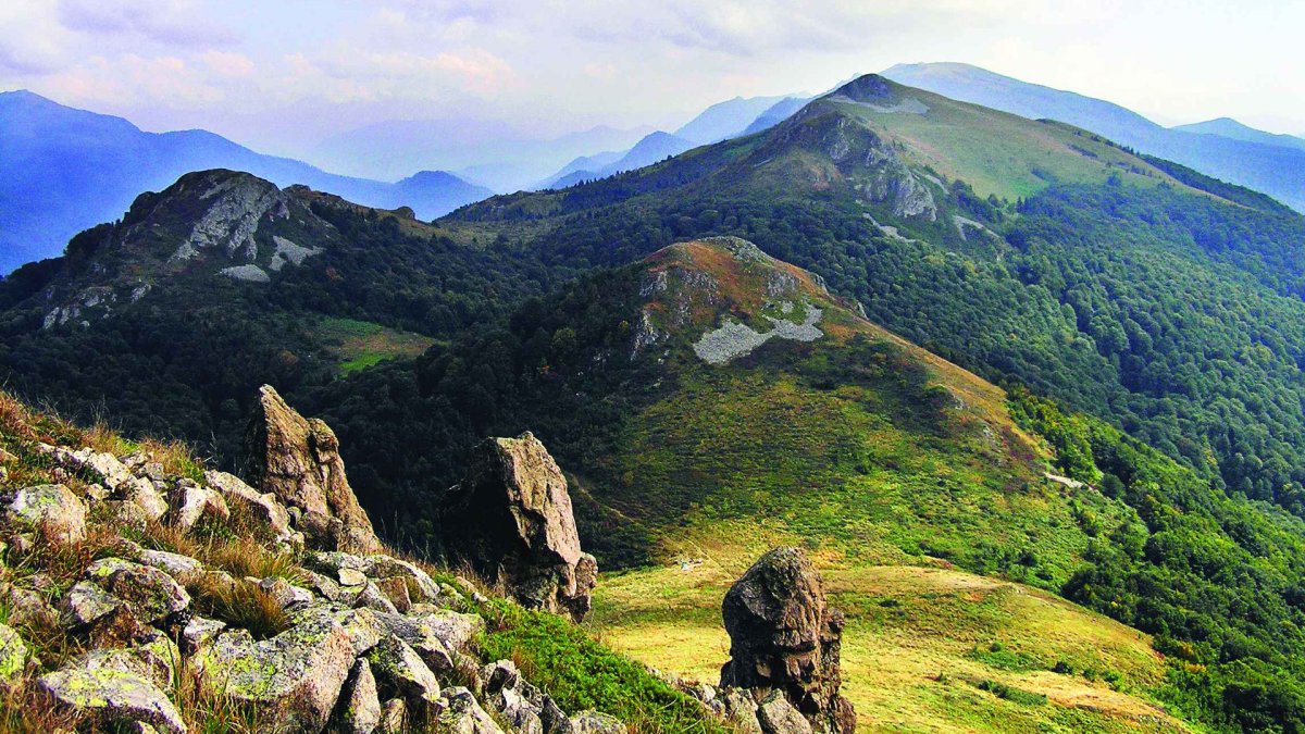 Рисунки природы несложные