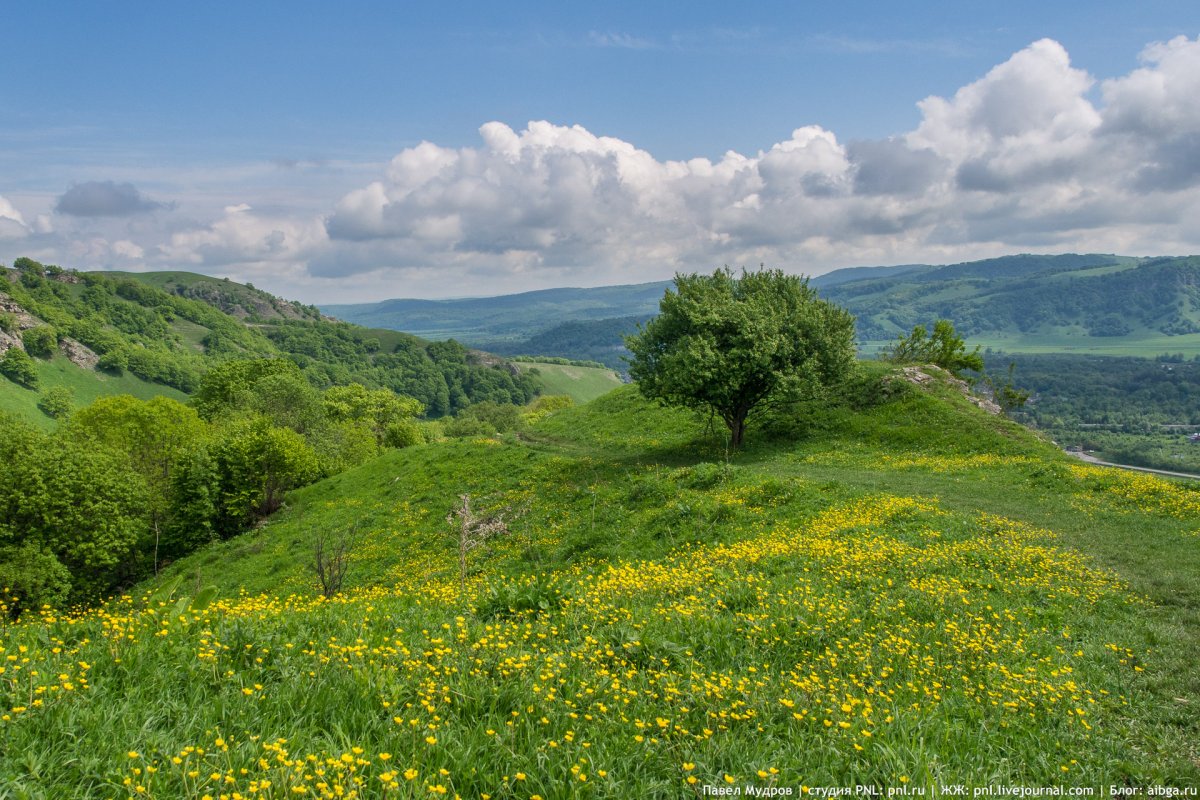 Рисунок на тему Башкортостан мой край родной