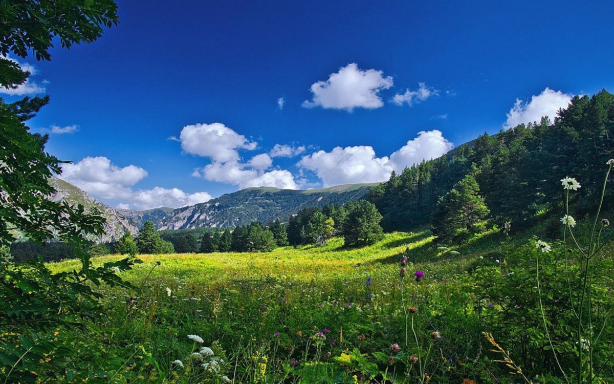 Краснодарский край, набережная Геленджика