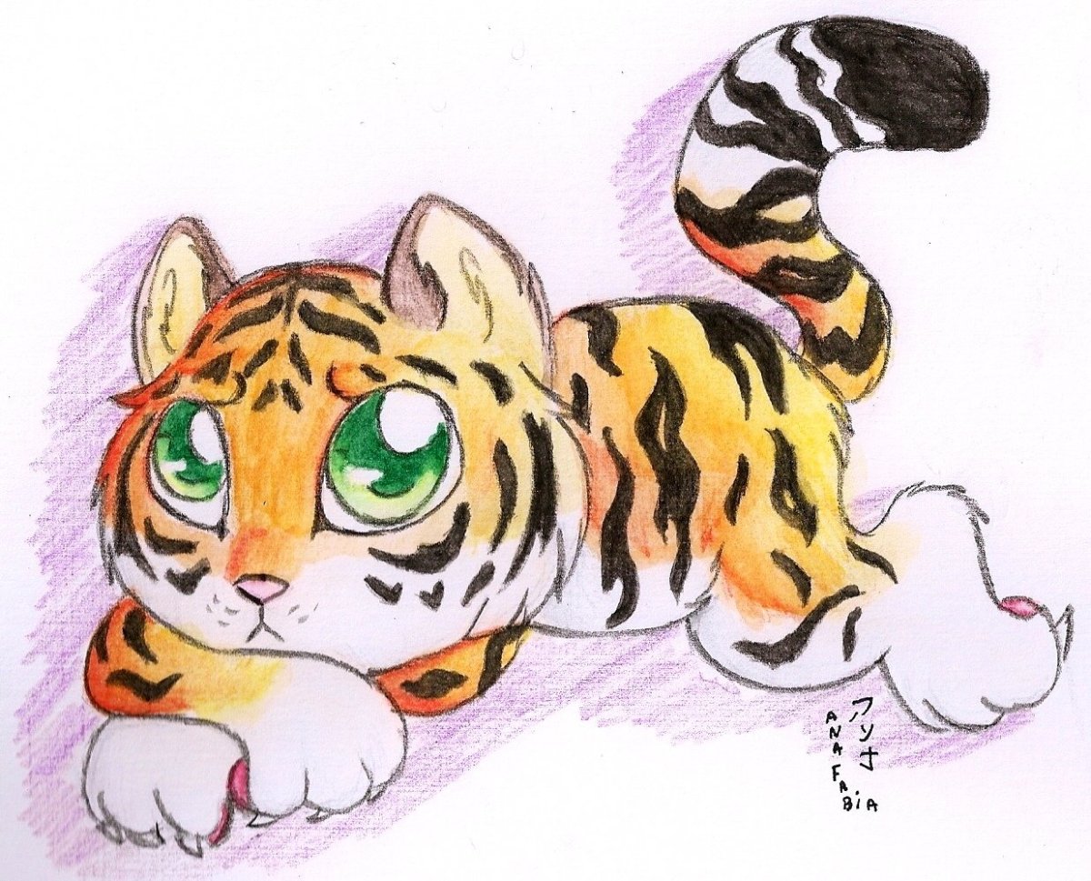 Тигр рисунок акварельными карандашами