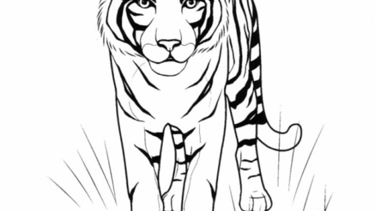 Тигренок в профиль рисунок