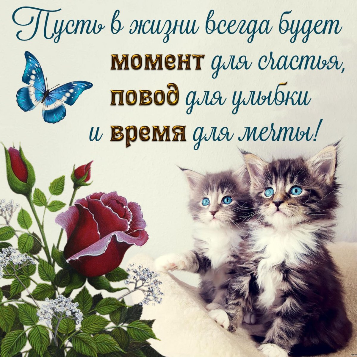 Доброе субботнее утро