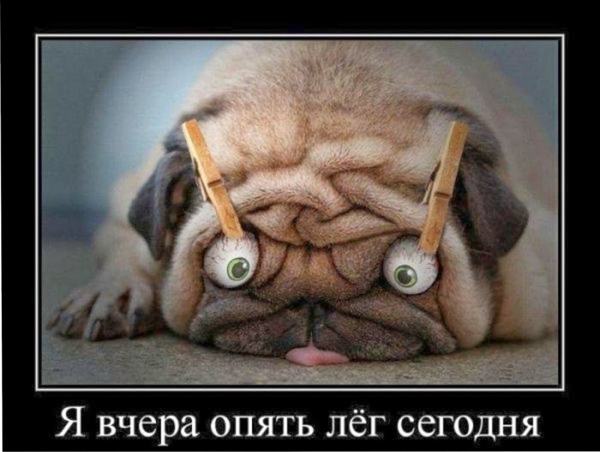 Демотиваторы с добрым утром прикольные