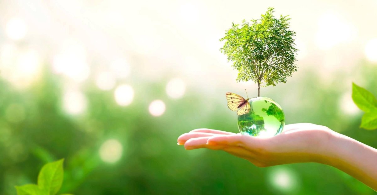 Всемирный день окружающей среды фото