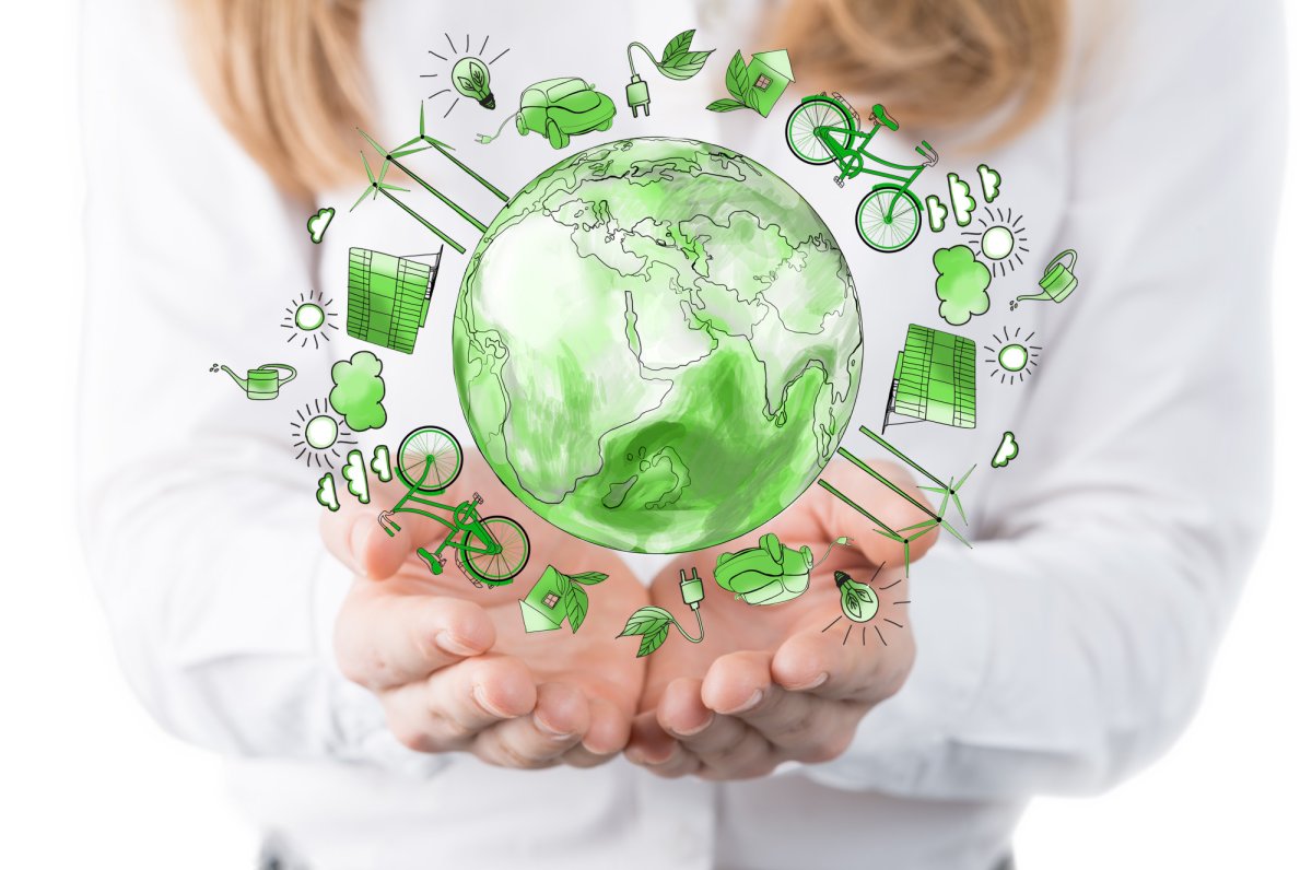 Экологические исследования