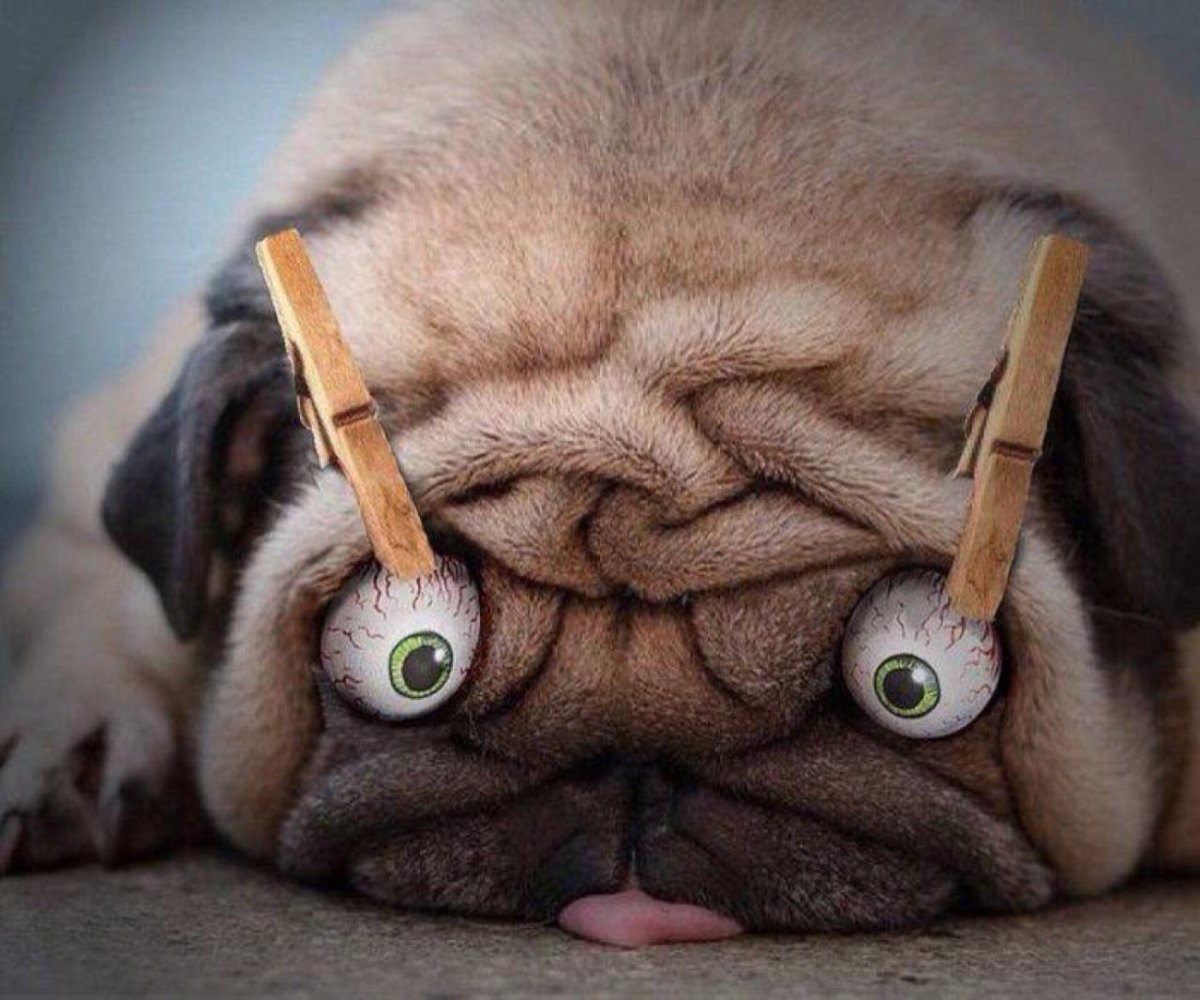 Пропишите доктор мне таких пилюль чтоб проснуться