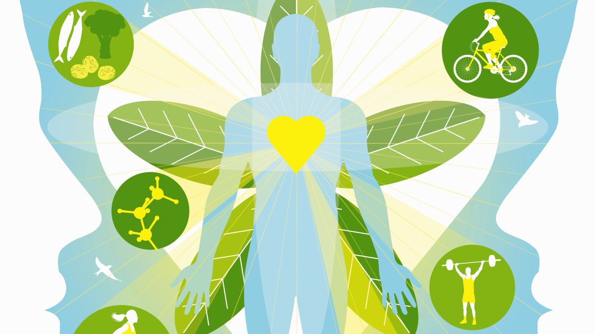 Экология и здоровье