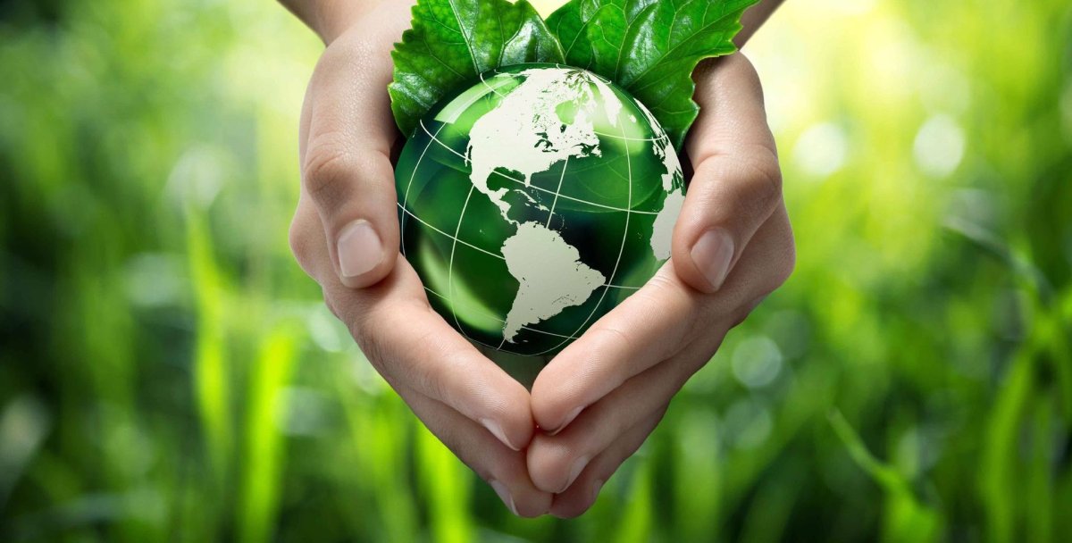 Экология окружающей среды