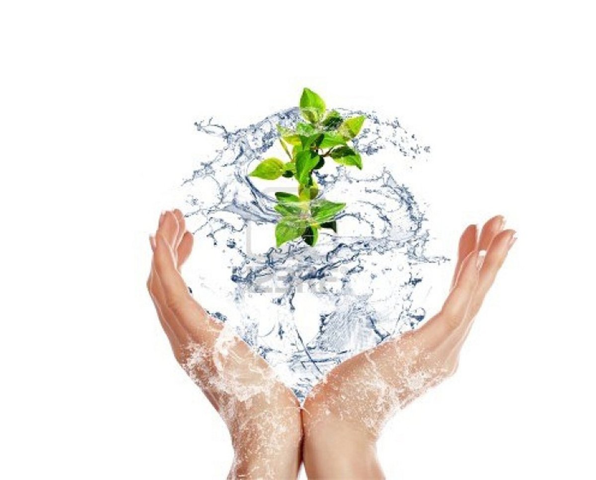 Чистая экология