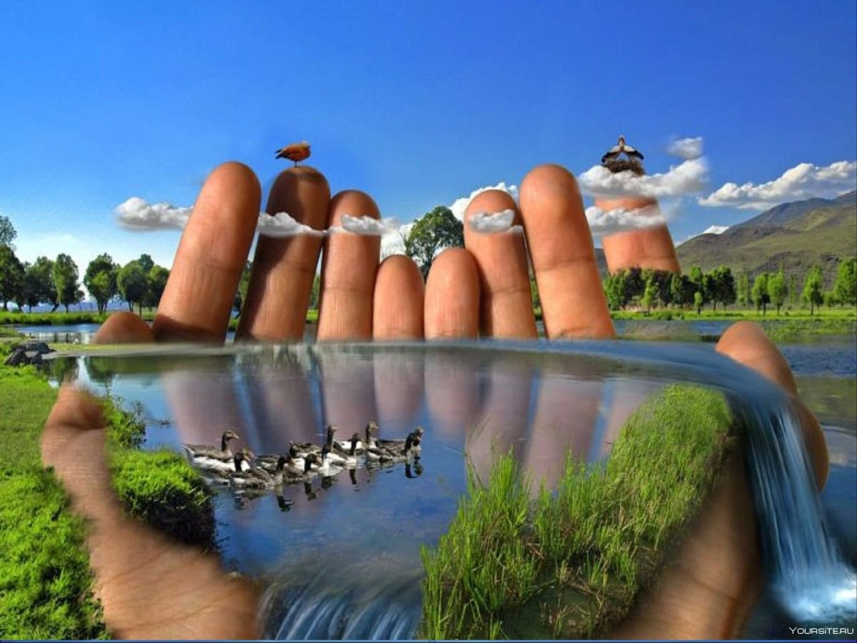 5 Июня Всемирный день окружающей среды