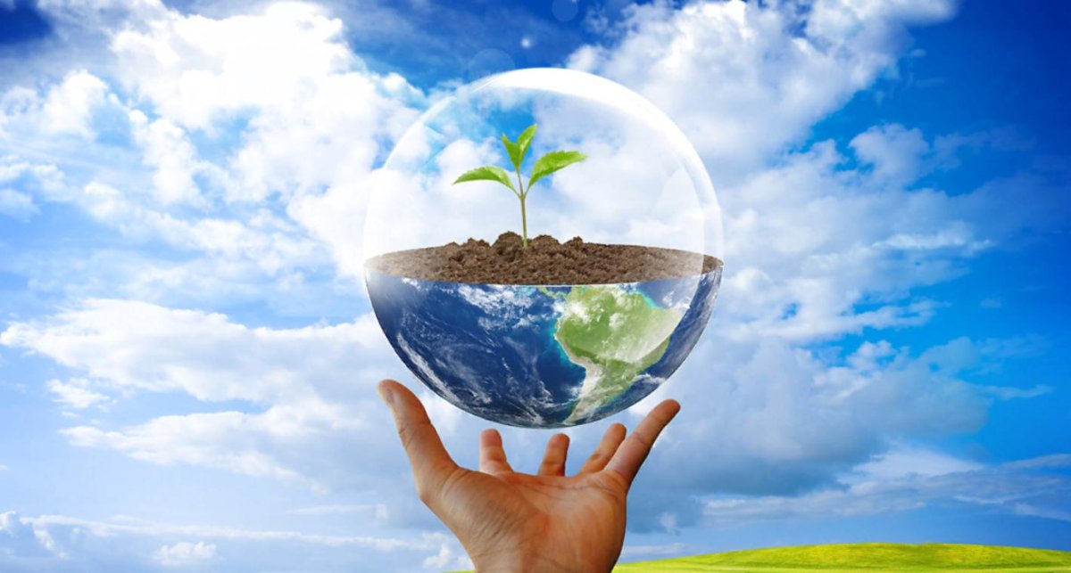 Экология земли