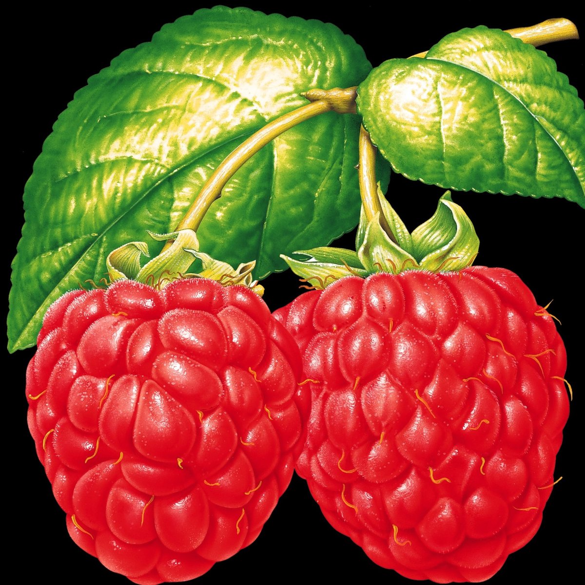 Водка Малинка