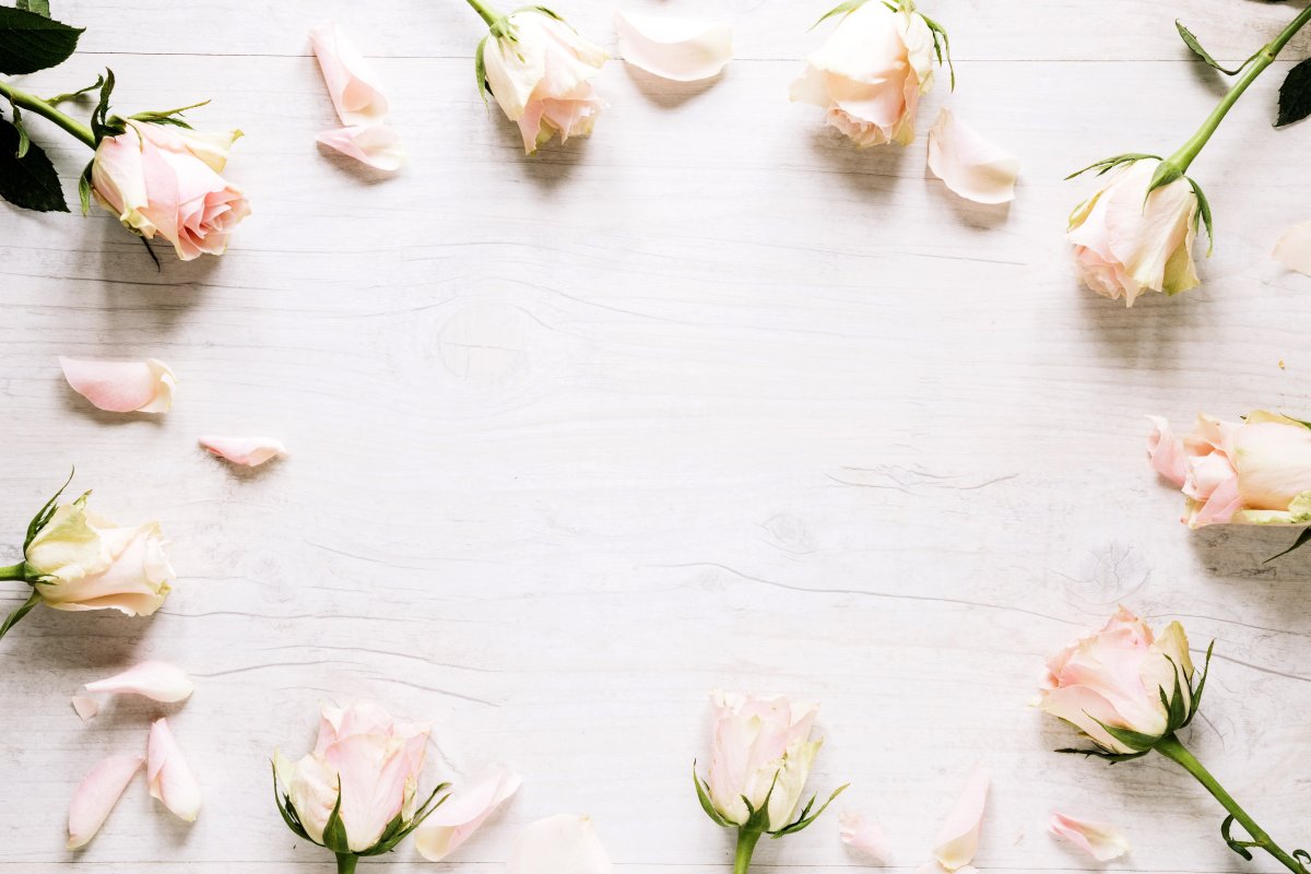 Светлый фон для сторис