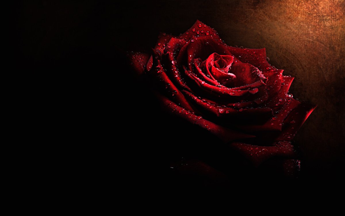 Красный огонь