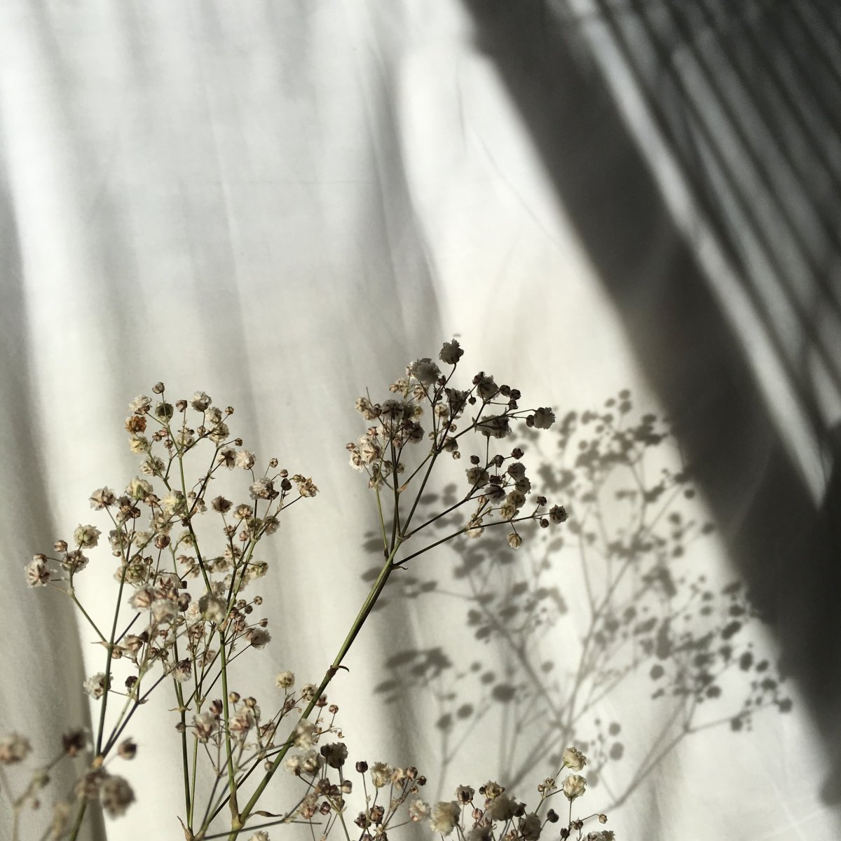 Бехха Эстетика