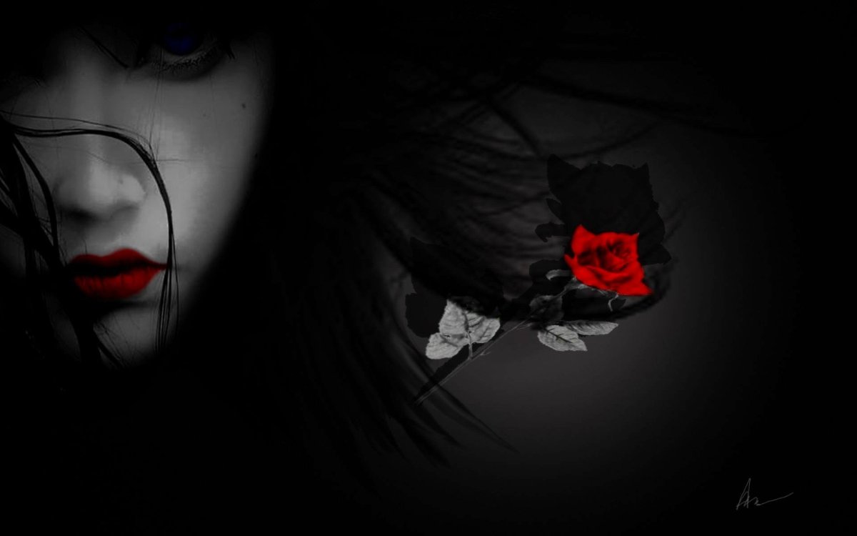 Цветы на черном фоне