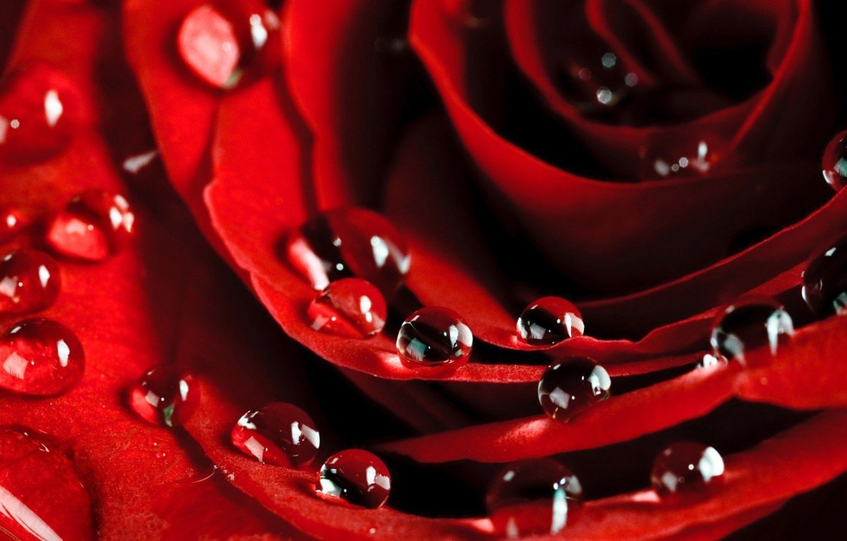 Красное яблоко на черном фоне