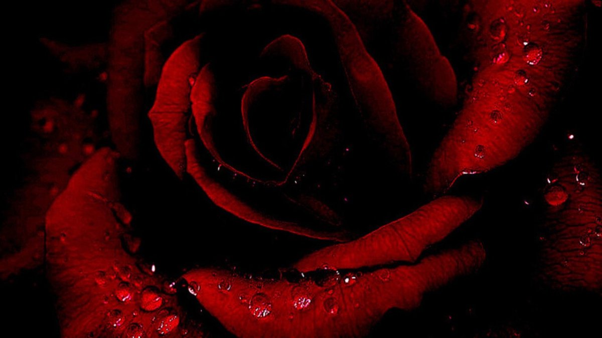 Красно черный фон