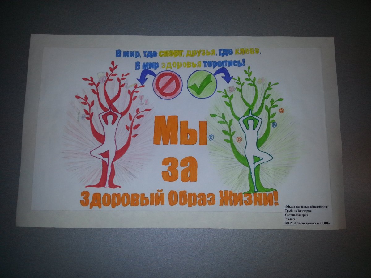 Правила здорового образа жизни