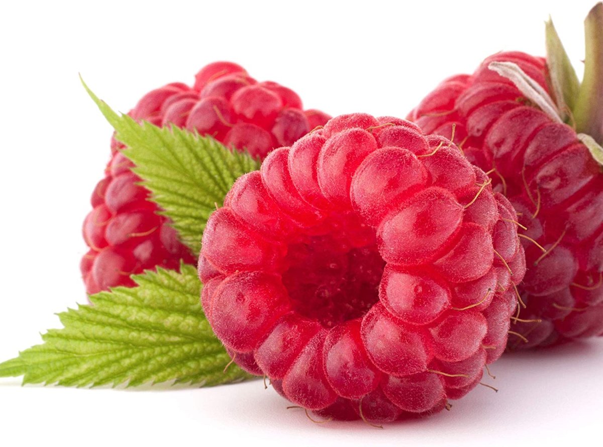 Малина на белом фоне