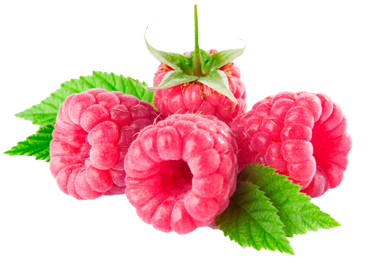 Ягода малина