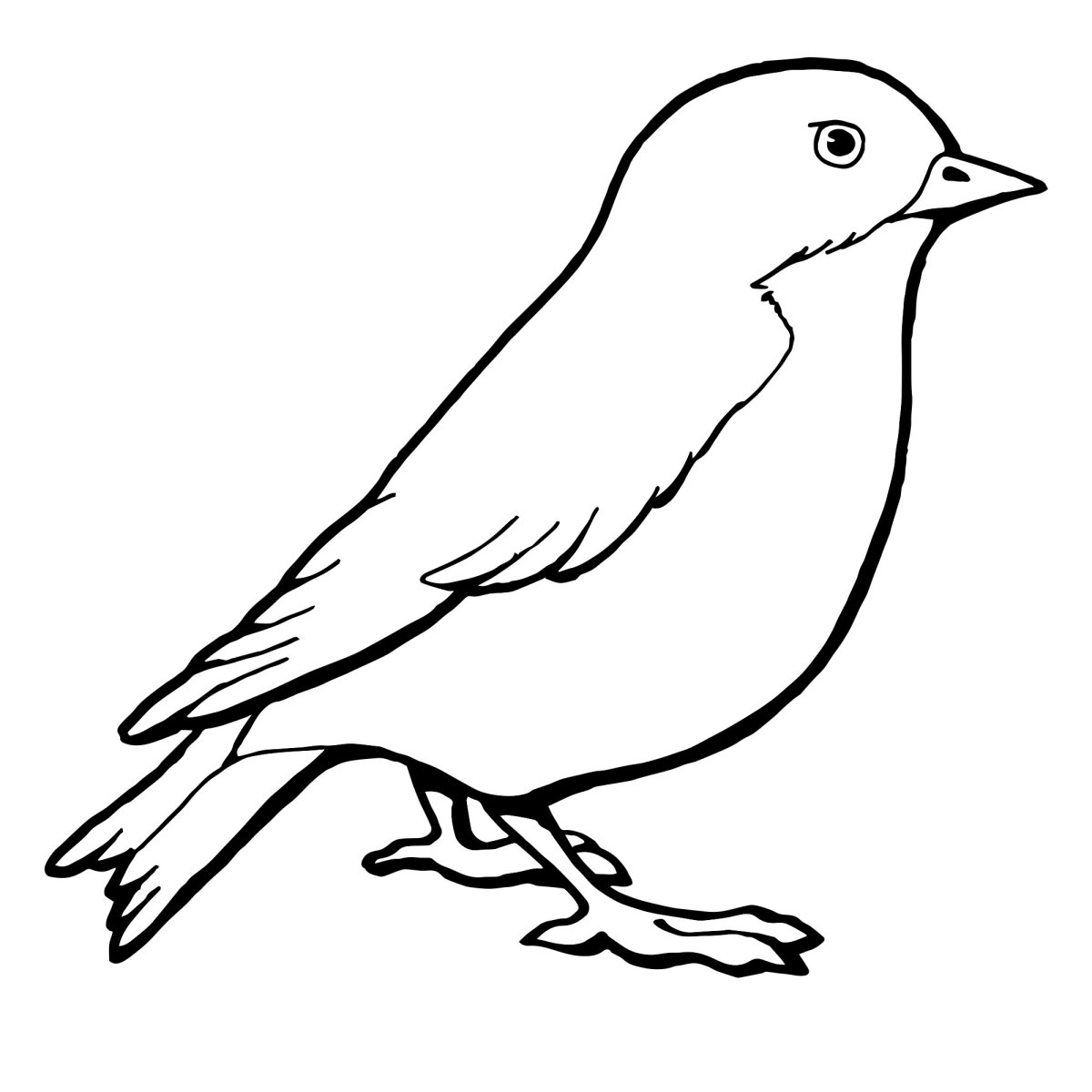 Раскраска птичка овсянка для детей