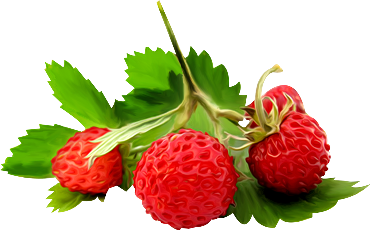 Земляника на прозрачном фоне