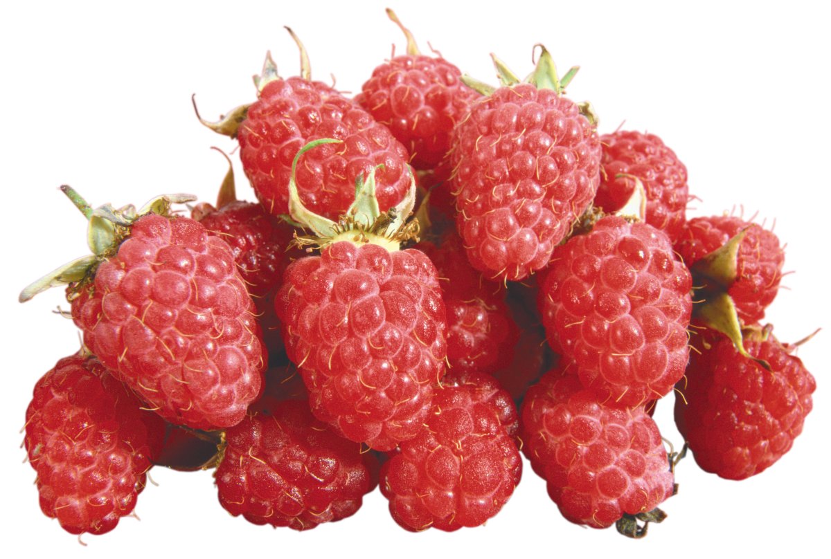 Прозрачные ягоды