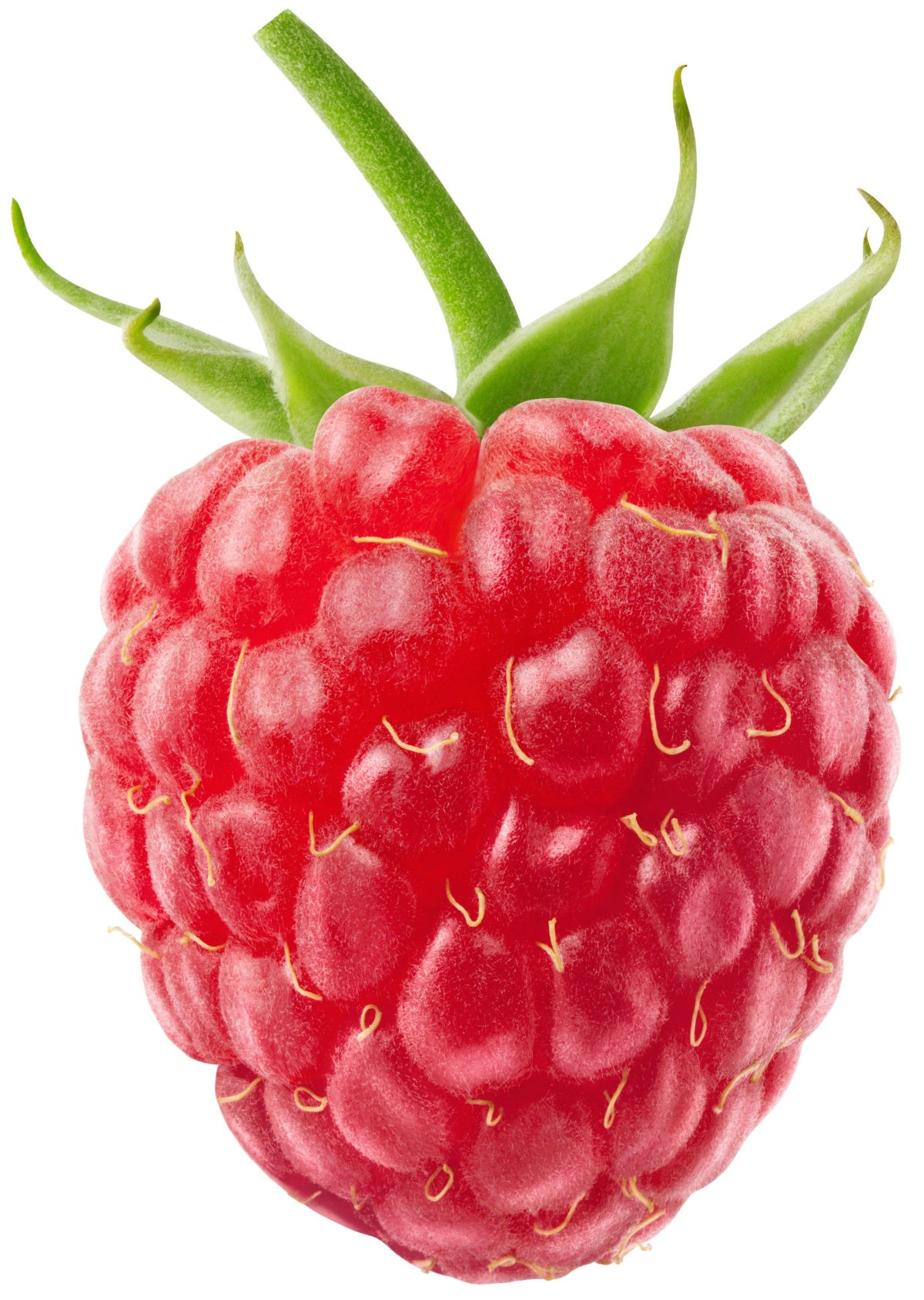 Малина одна