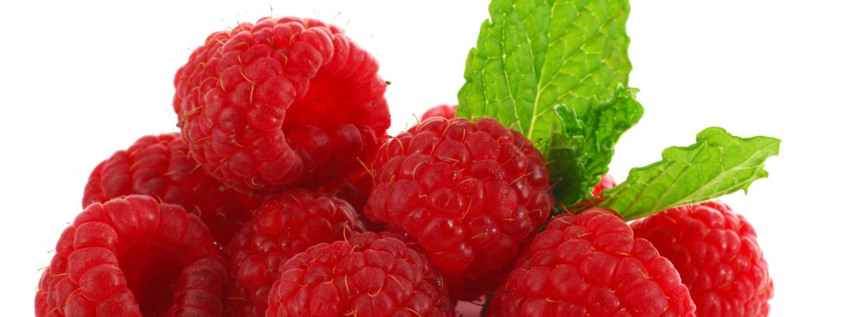 Малина в разрезе