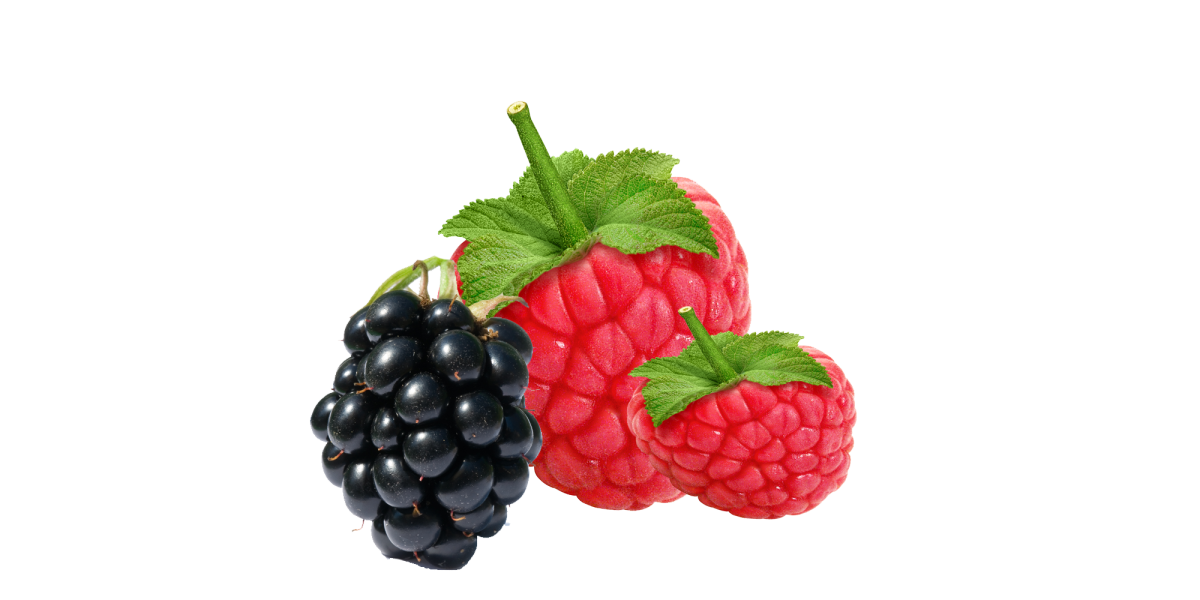 Ягоды презентация