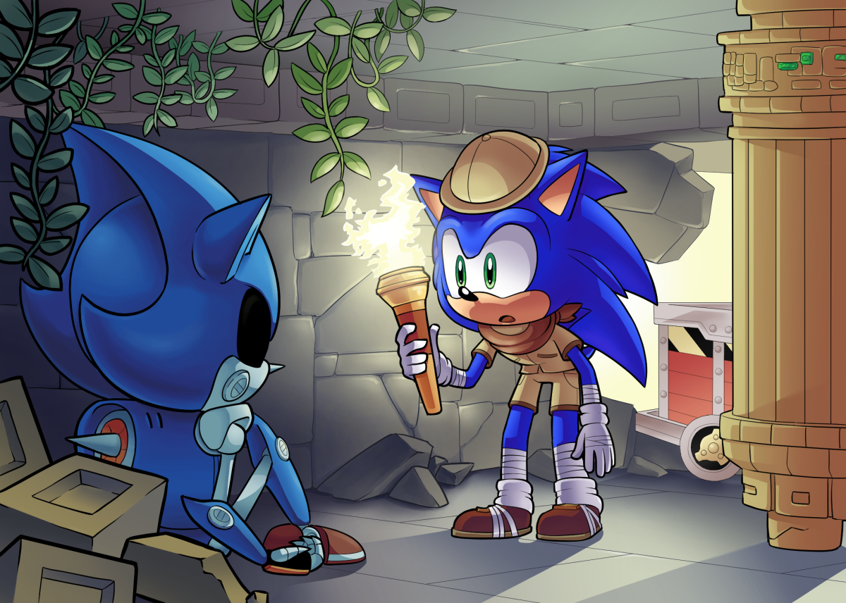 Метал Соник и Эми любовь