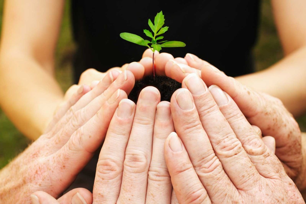 Ценность фотографии