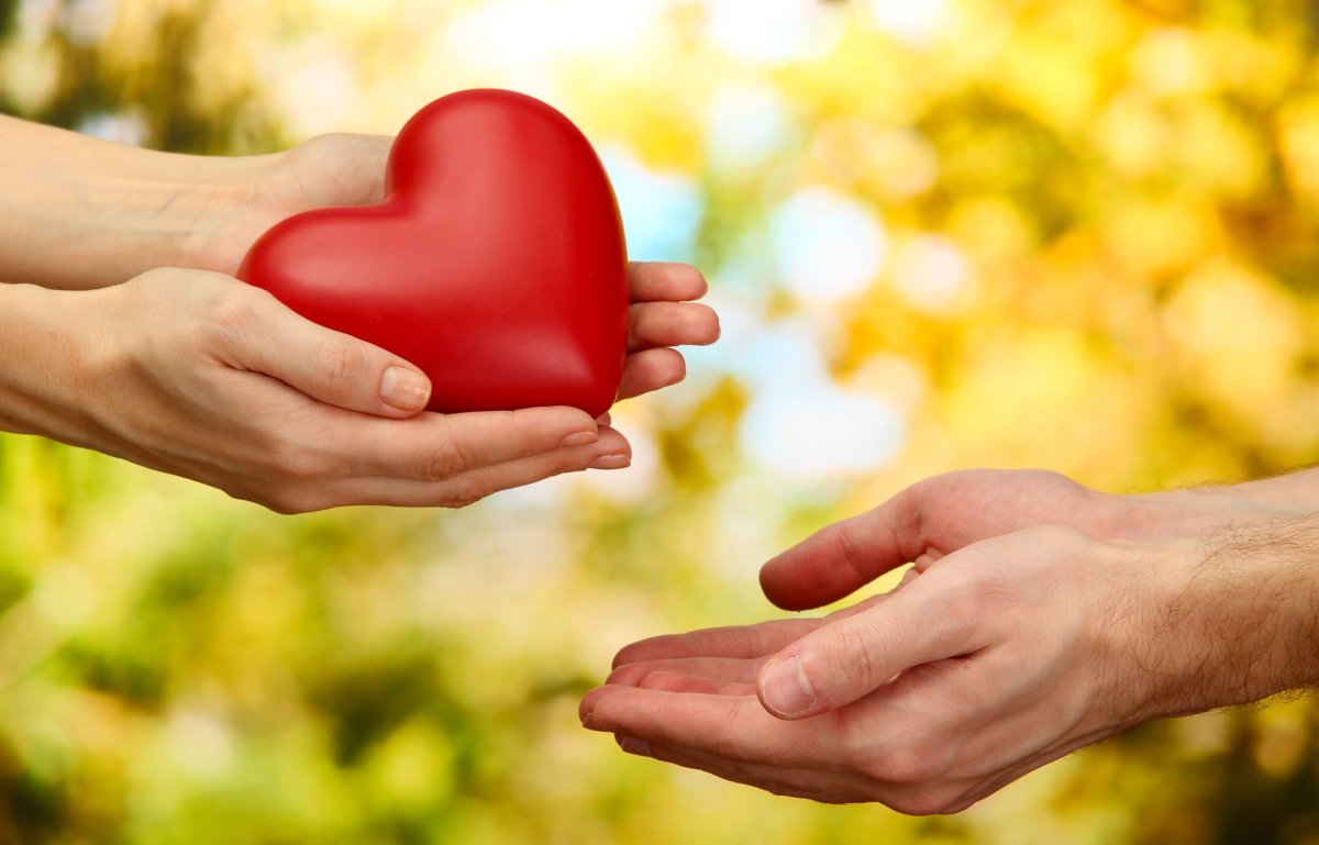 Рука в руке