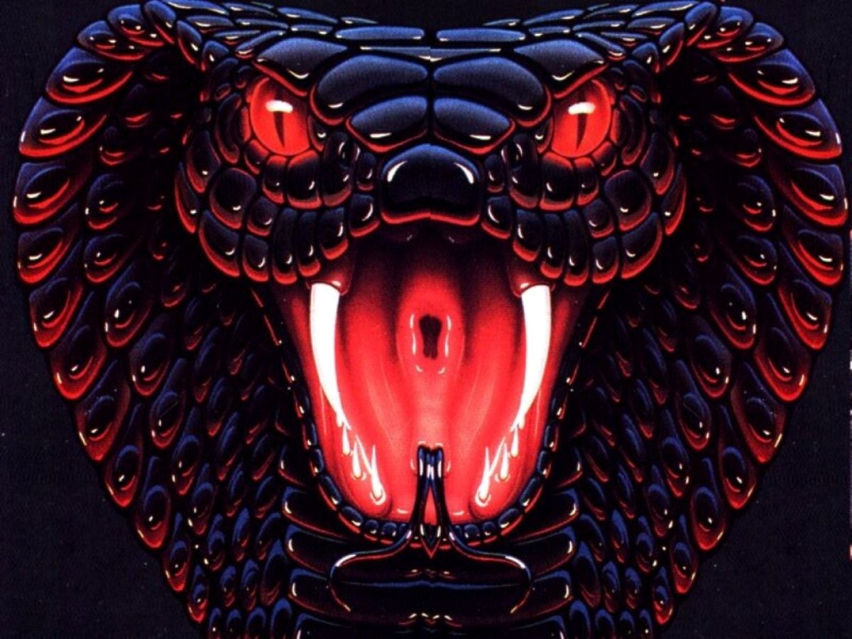 Академия нагов Татьяна Мираббилис