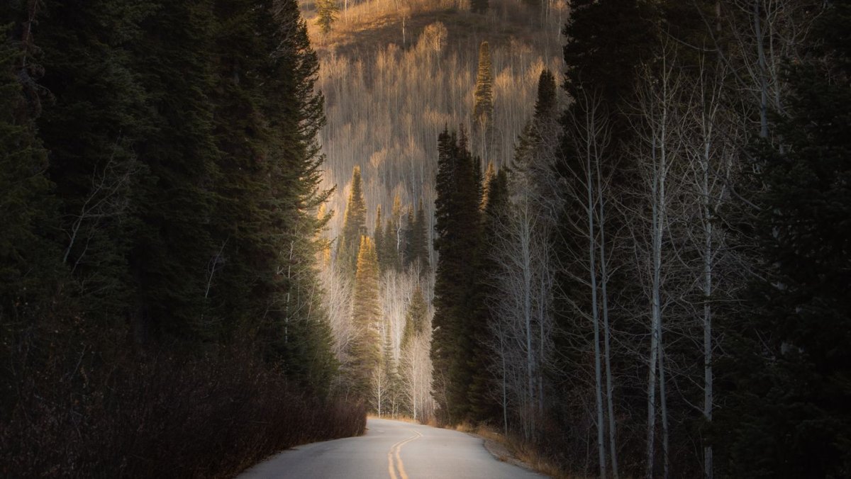 Загадочная дорога