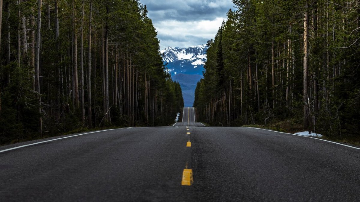 Как найти дорогу в лесу