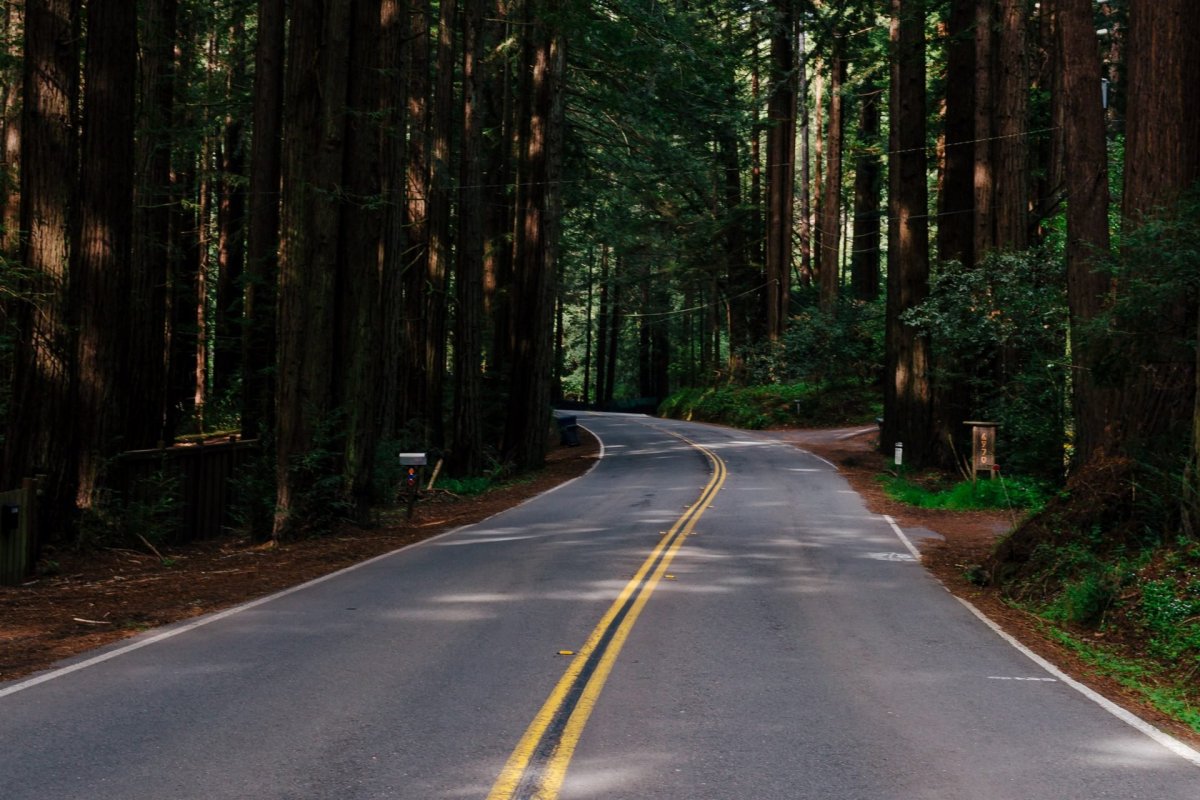 Обои дорога 1920х1080