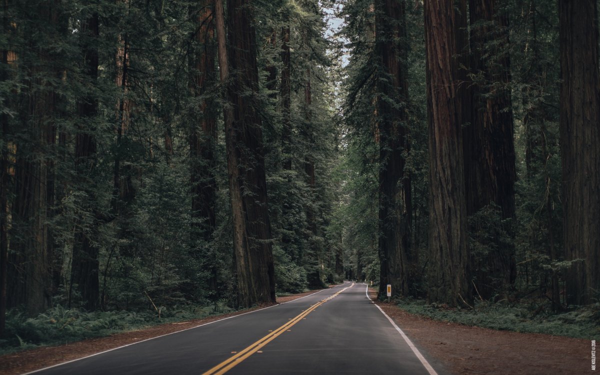 Обои дорога