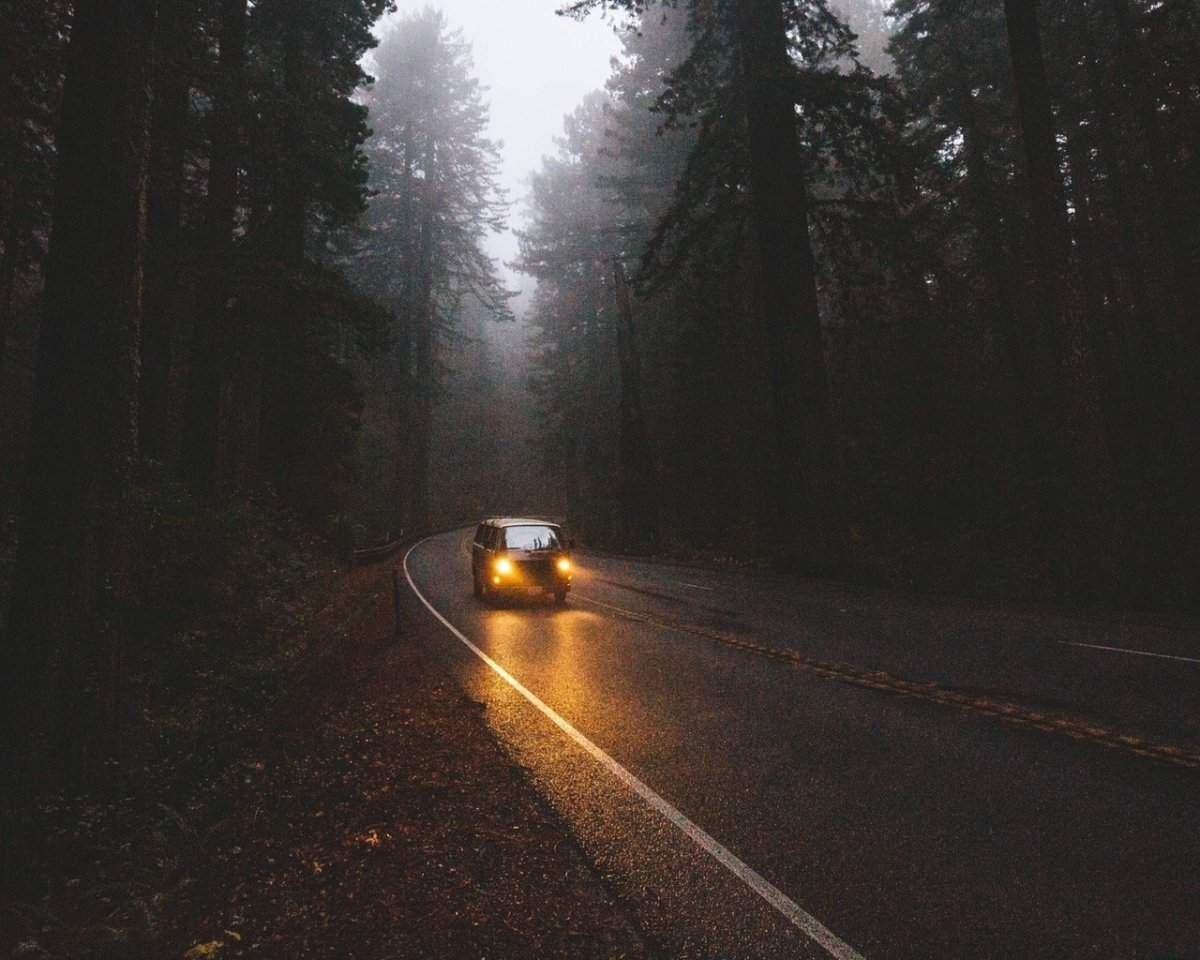 Фотосессия на дороге